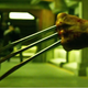 Illustration for article titled Of Course There Were Plans for Even More Wolverine in X-Men Apocalypse
